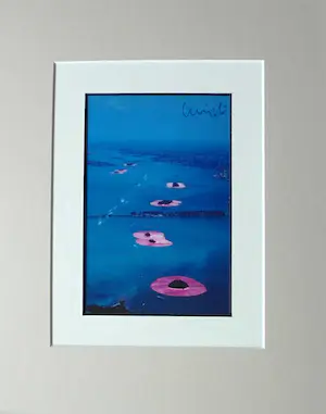 Christo - Project " Surrounded Islands " 1983 - inc. original stofmonster - handgesigneerd kopen? Bied vanaf 130!