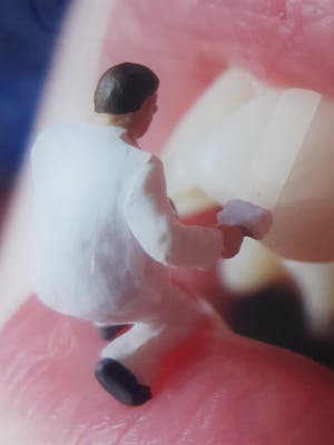 Niet of onleesbaar gesigneerd - Whitening kopen? Bied vanaf 1!