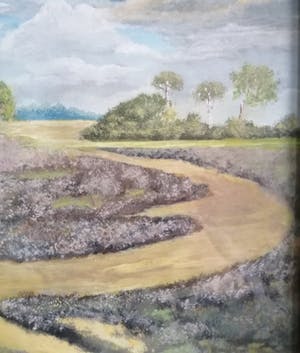 Thomas van Wissen - Heidelandschap - eind 19e eeuw Gouache - ingelijst achter glas kopen? Bied vanaf 40!