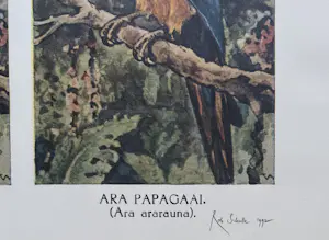 Rob Scholte - Handgesigneerde offset/zeefdruk | 'Ara' | 1992 kopen? Bied vanaf 150!