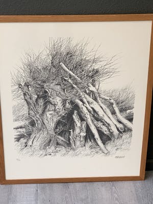 Patrick Creyghton - boomstronken kopen? Bied vanaf 49!