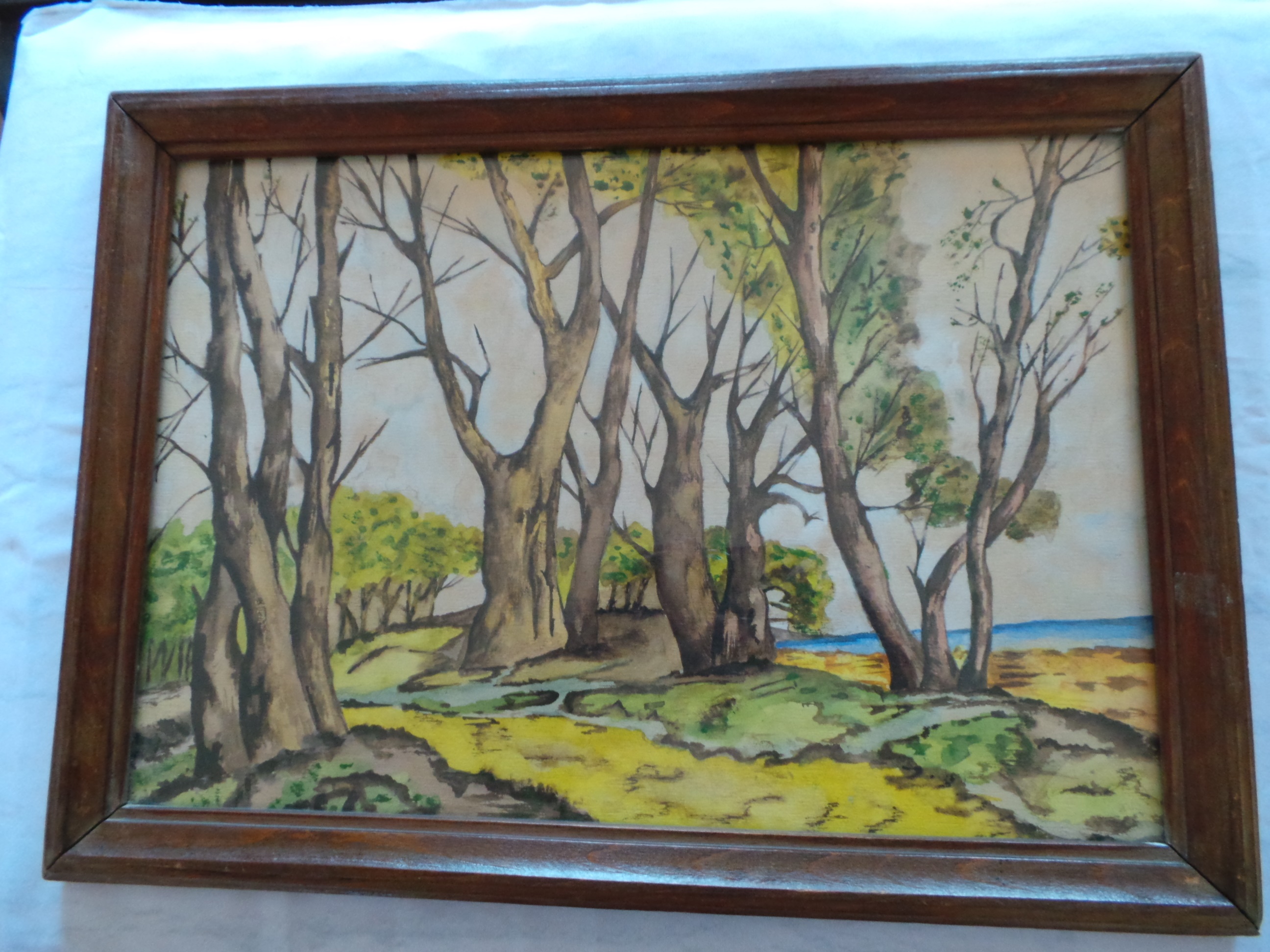 Niet of onleesbaar gesigneerd - Bosgezicht 20 eeuw kopen? Bied vanaf 1!