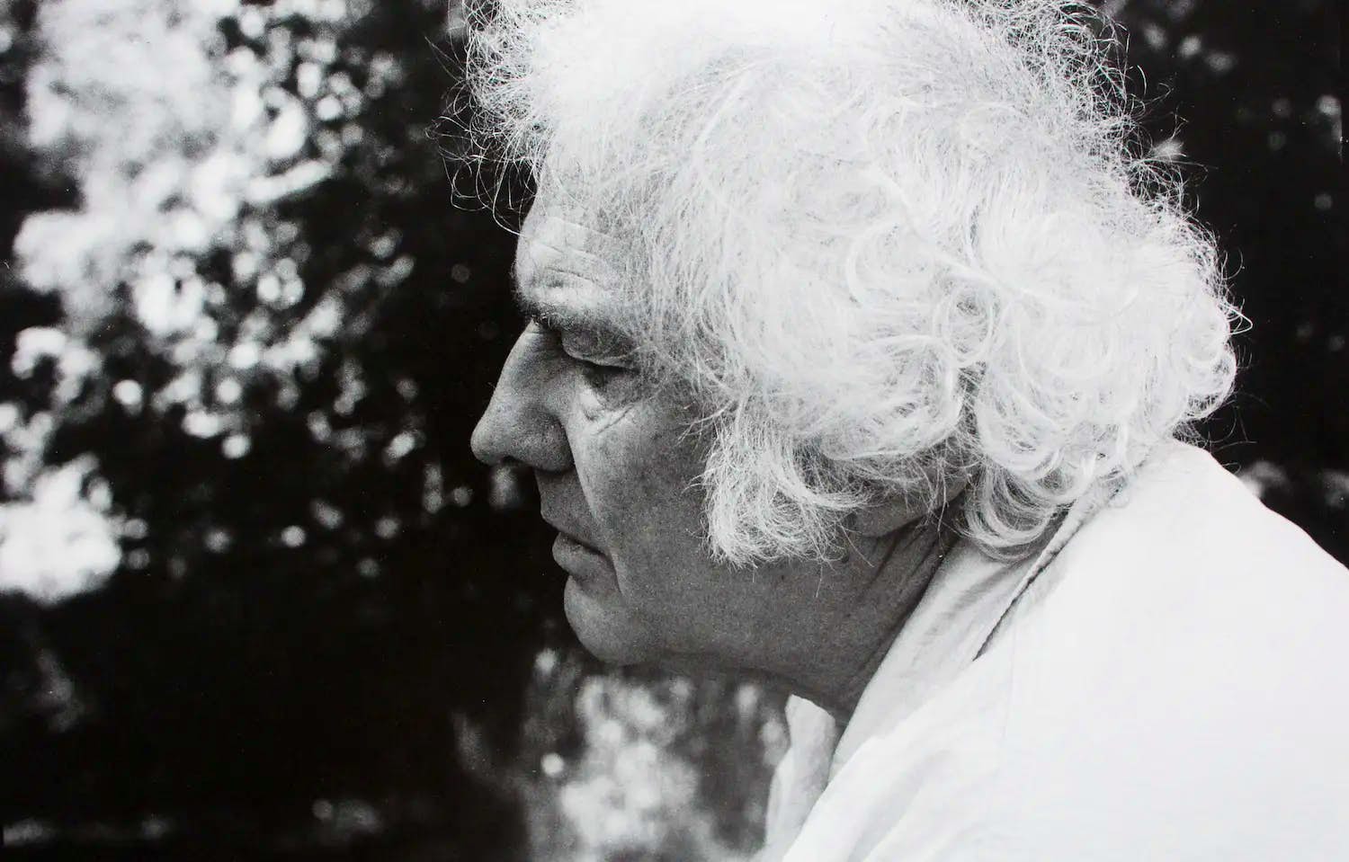 Steye Raviez - Fotolitho: Jan Wolkers kopen? Bied vanaf 30!