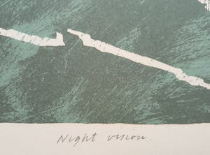 Harrie Gerritz - Night vision, zeefdruk kopen? Bied vanaf 50!