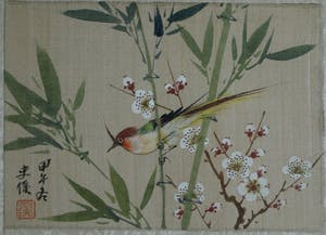 Niet of onleesbaar gesigneerd - Acryl op doek , Japan , Vogel in bloesemtak – ingelijst kopen? Bied vanaf 1!