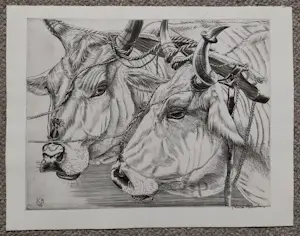 Kuno Brinks - Ossekoppen kopen? Bied vanaf 80!