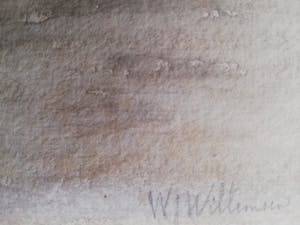 Willem Jan Willemsen - Rivierzicht kopen? Bied vanaf 70!