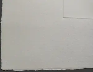 Ronald Tolman - gesigneerde ets kopen? Bied vanaf 69!