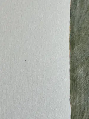 Kenne Gregoire - l'autumno kopen? Bied vanaf 40!