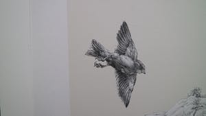 Peter Vos - oude man tussen mussen kopen? Bied vanaf 75!