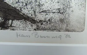 Hans Buining - Vogels kopen? Bied vanaf 40!
