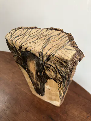 Emile van der Kruk - Greyhound kopen? Bied vanaf 1!