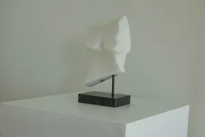 Niet of onleesbaar gesigneerd - Zonder titel kopen? Bied vanaf 1!