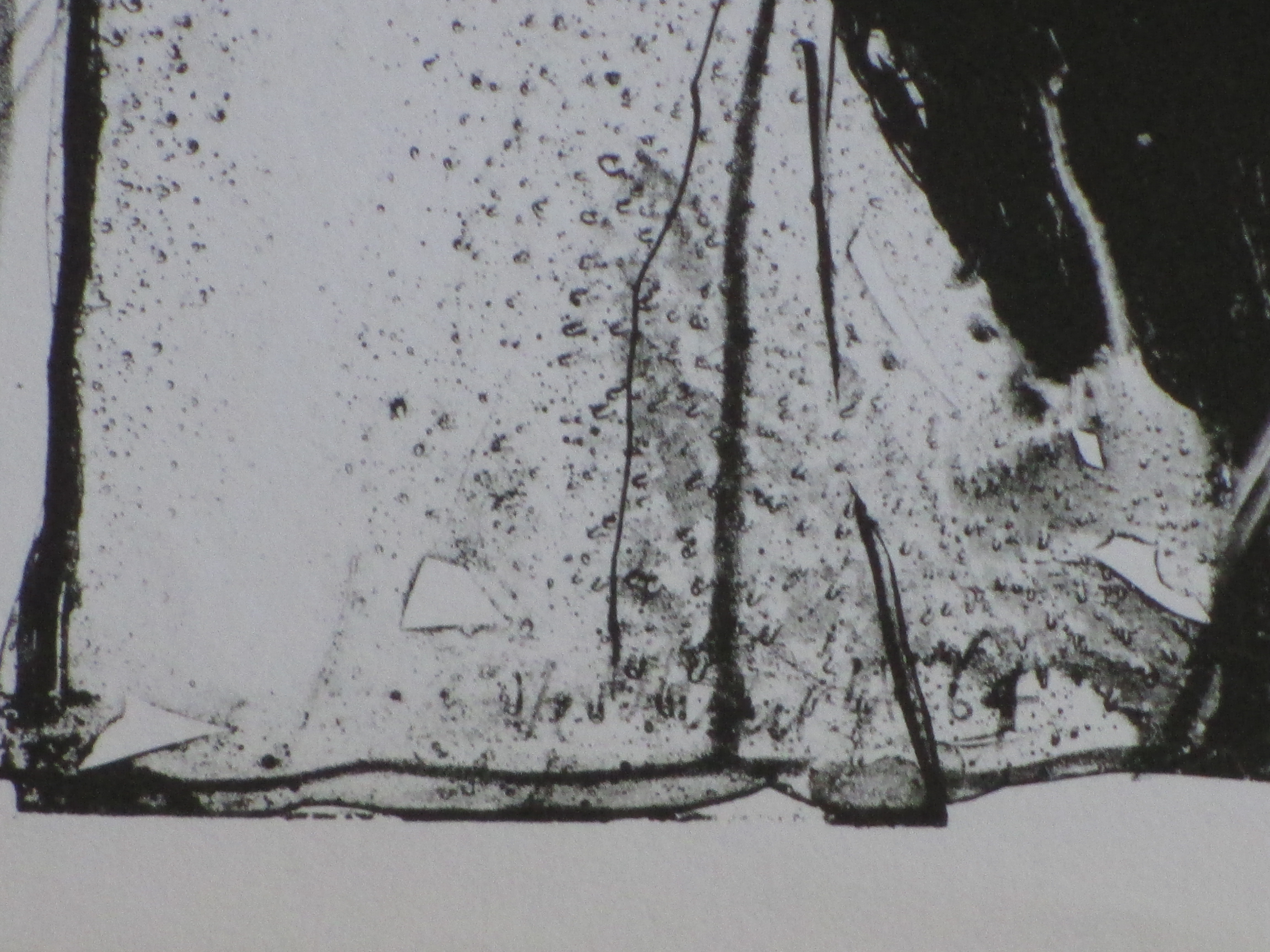 Aat Veldhoen - De Clown en Het Naakt - Rotaprint kopen? Bied vanaf 70!