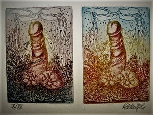 Hadewijch Ouwendijk - Zeer kleine oplage (20ex) Handgekleurde Litho "vier jaargetijden" kopen? Bied vanaf 1!