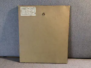 Arie Zonneveld - Bloesemboom kopen? Bied vanaf 50!