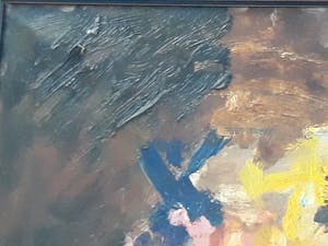 Wim Steijn - Irissen in vaas kopen? Bied vanaf 200!