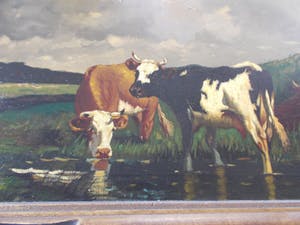 Johan Hendrik Lodewijk van der Meer - Twee koeien kopen? Bied vanaf 650!