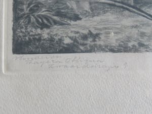 Frans IJserinkhuijsen - Tropische vissen kopen? Bied vanaf 1!