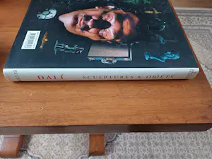 Salvador Dali - Le dur et le mou kopen? Bied vanaf 150!