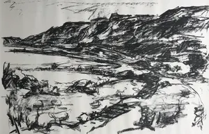 Willy Rieser - Prachtige gesigneerde kleurenlitho/steendruk - 19/50 - "Dode zee bij Masada" kopen? Bied vanaf 1!