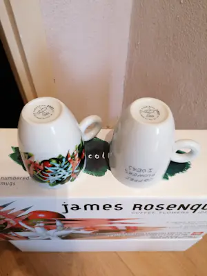 illy Art Collection - Illy art collection 2003 James Rosenquist coffee flowers kopen? Bied vanaf 50!