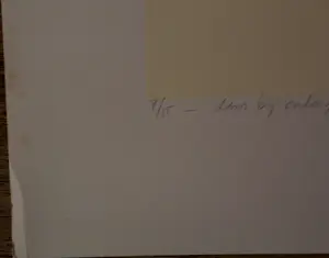 Arnold van Griensven - Zeefdruk: dans bij ondergaande zon kopen? Bied vanaf 59!