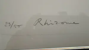 Sjoerd Buisman - Rhizone kopen? Bied vanaf 45!