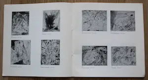 Asger Jorn - tentoonstellingscatalogus: Galerie van de Loo kopen? Bied vanaf 25!