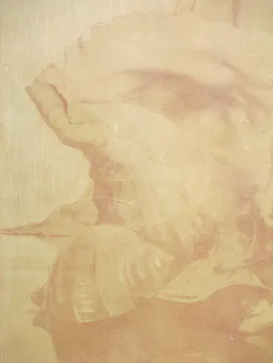 Maurits van der Valk - Stilleven van Schelpen - Litho in bruin kopen? Bied vanaf 1!
