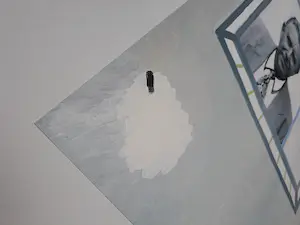 Roger Raveel - Burgemeester Peirs kopen? Bied vanaf 100!