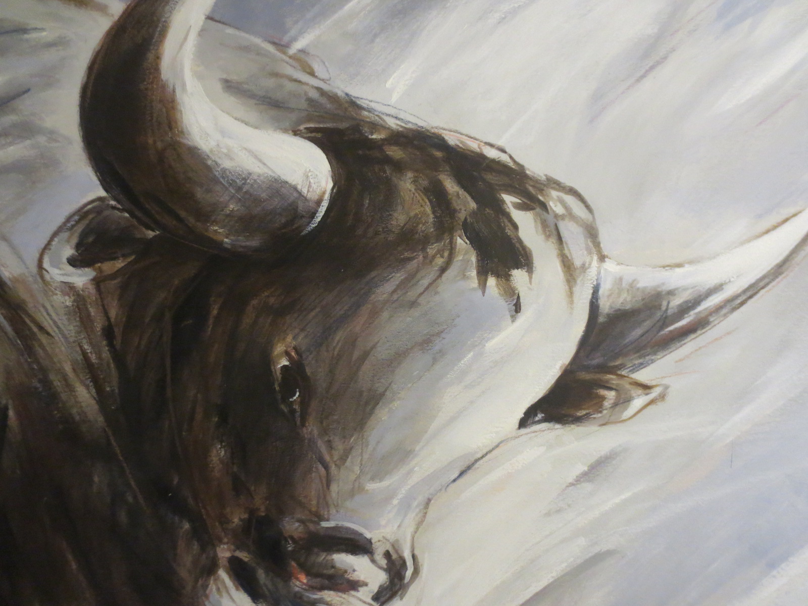 Evert van Hemert - stier kopen? Bied vanaf 45!