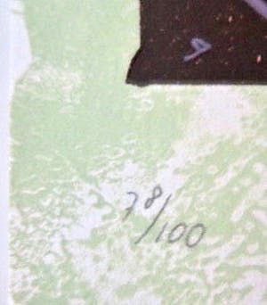 Rik van Iersel - 'Kop' - Originele litho met Kunstboek kunstenaar hardcover - Nieuwstaat kopen? Bied vanaf 39!