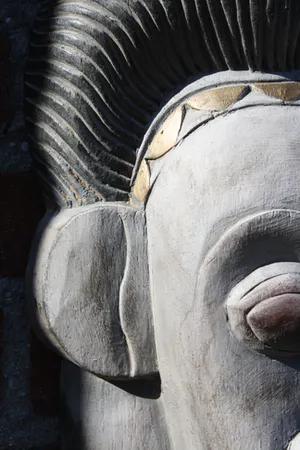 Niet of onleesbaar gesigneerd - Prachtig Licht Groot Houten Afrikaans Masker (20e eeuw kopen? Bied vanaf 1!