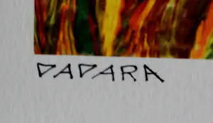 Dadara - Zeefdruk: Frog kopen? Bied vanaf 100!