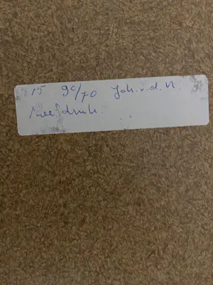 Johann van den Noort - Birds on the Farnes kopen? Bied vanaf 45!