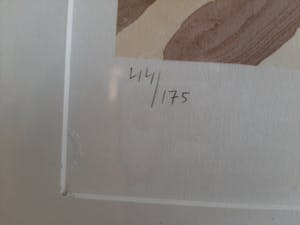 Karel Appel - Handgesigneerde Litho, mooi ingekaderd kopen? Bied vanaf 450!