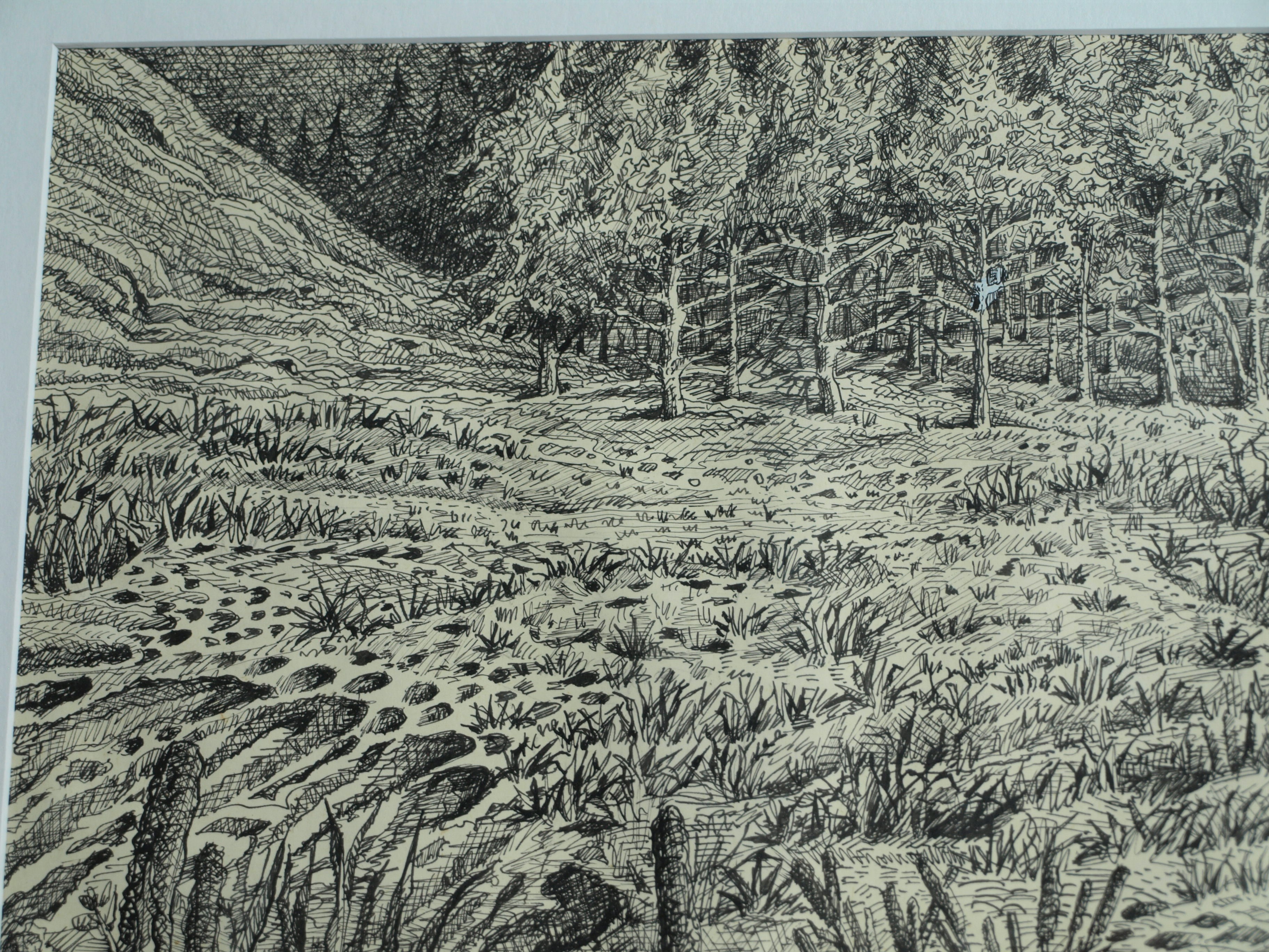 Hans Boon - Pentekening , Duinlandschap – gesigneerd & ingelijst – ca 1977  kopen? Bied vanaf 1!