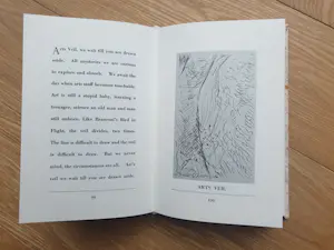 Gilbert & George - Side by Side - Hand gemarmerd boekje door de kunstenaars kopen? Bied vanaf 250!