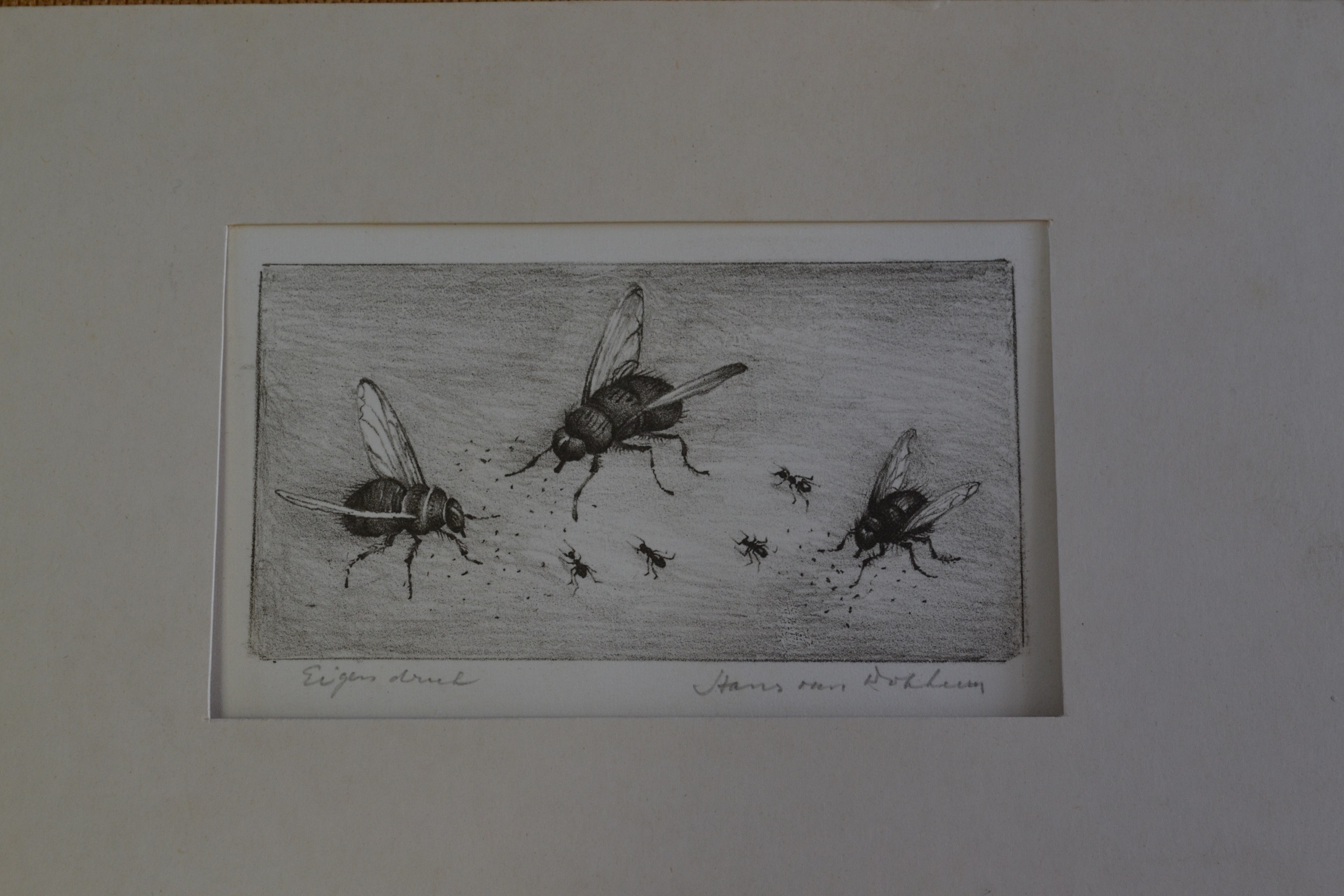 Hans van Dokkum - ets, drie vliegen en vier mieren kopen? Bied vanaf 20!