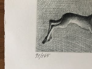 Albert Debois - Gesigneerde litho - 1984 - 91/165 kopen? Bied vanaf 1!