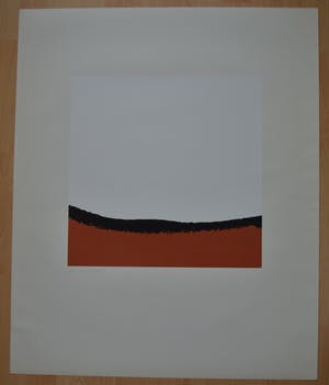 Willy Schmidhamer - Portfolio met 4 zeefdrukken compleet! kopen? Bied vanaf 150!