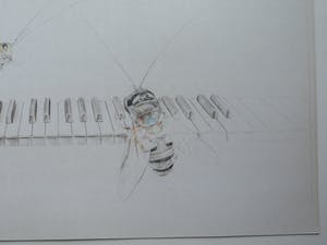 Corstiaan de Vries - (Kleur)potlood-tekening , Sprinkhaan en Bij op piano – ingelijst – 94 x 80 cm kopen? Bied vanaf 1!