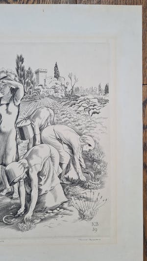 Kuno Brinks - Lavendelpluksters kopen? Bied vanaf 150!