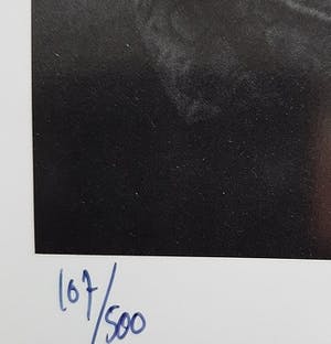 Govert de Roos - Cyndi Lauper in het Americain hotel in Amsterdam kopen? Bied vanaf 15!