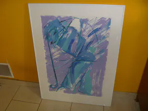 Anke Peddemors - afgeprijsd :gesigneerde zeefdruk , nr 2/75 , fraai ingelijst in zeer goede staat kopen? Bied vanaf 29!