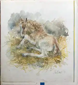 Piet Klaasse - Paarden, proefdrukken offsetlitho, 2-zijdig bedrukt, gesigneerd in druk verkocht voor € 25!