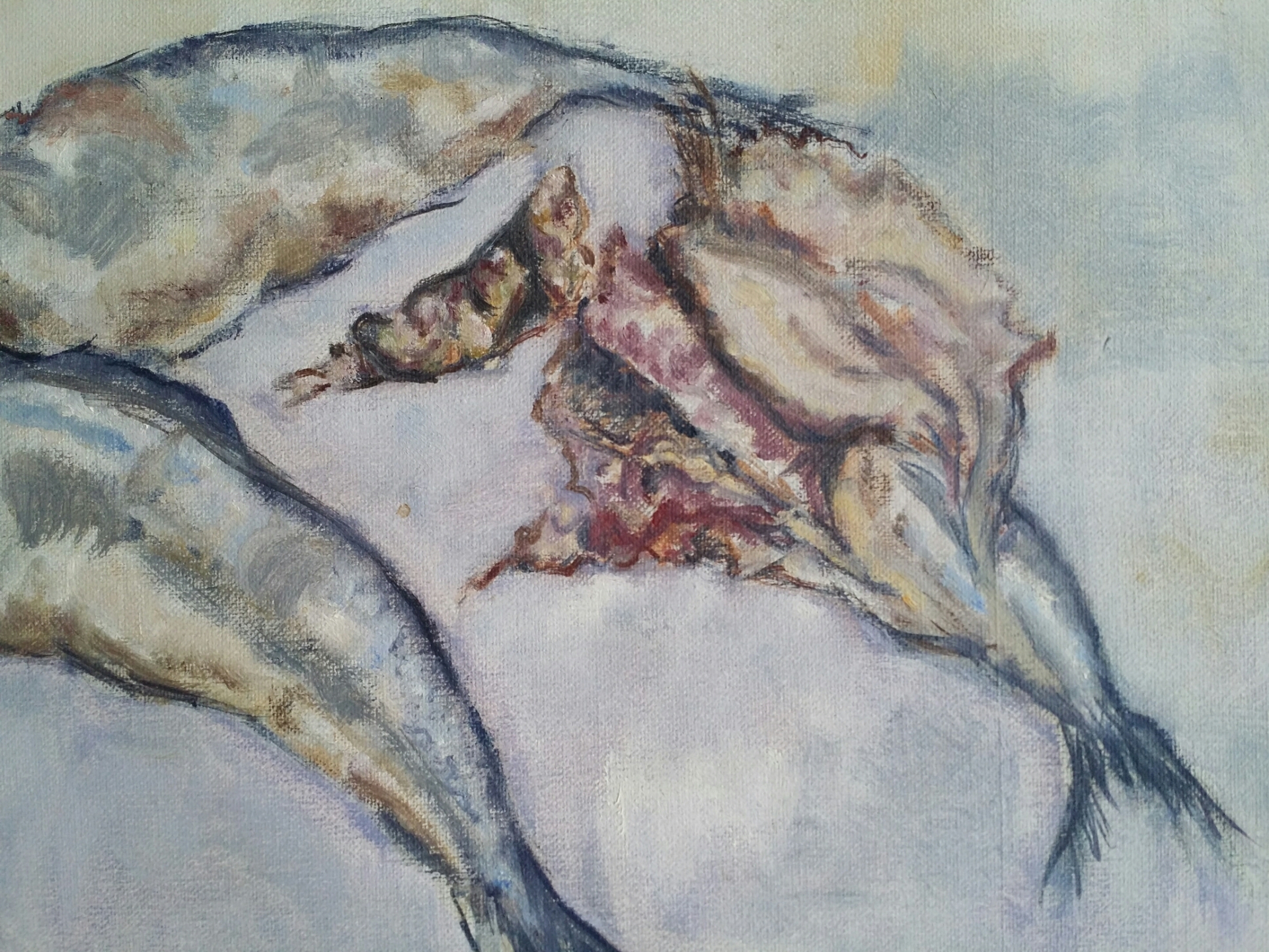 Niet of onleesbaar gesigneerd - Stilleven met vissen. Olieverf. kopen? Bied vanaf 1!