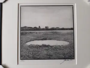 Ralph Janowski - 3 werken, van Ralph Janowski, Boom in de ochtend mist nieuw ingelijst kopen? Bied vanaf 100!
