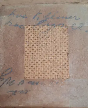 Buy Hans van Wijk - Bol gewas? Bid from 50!